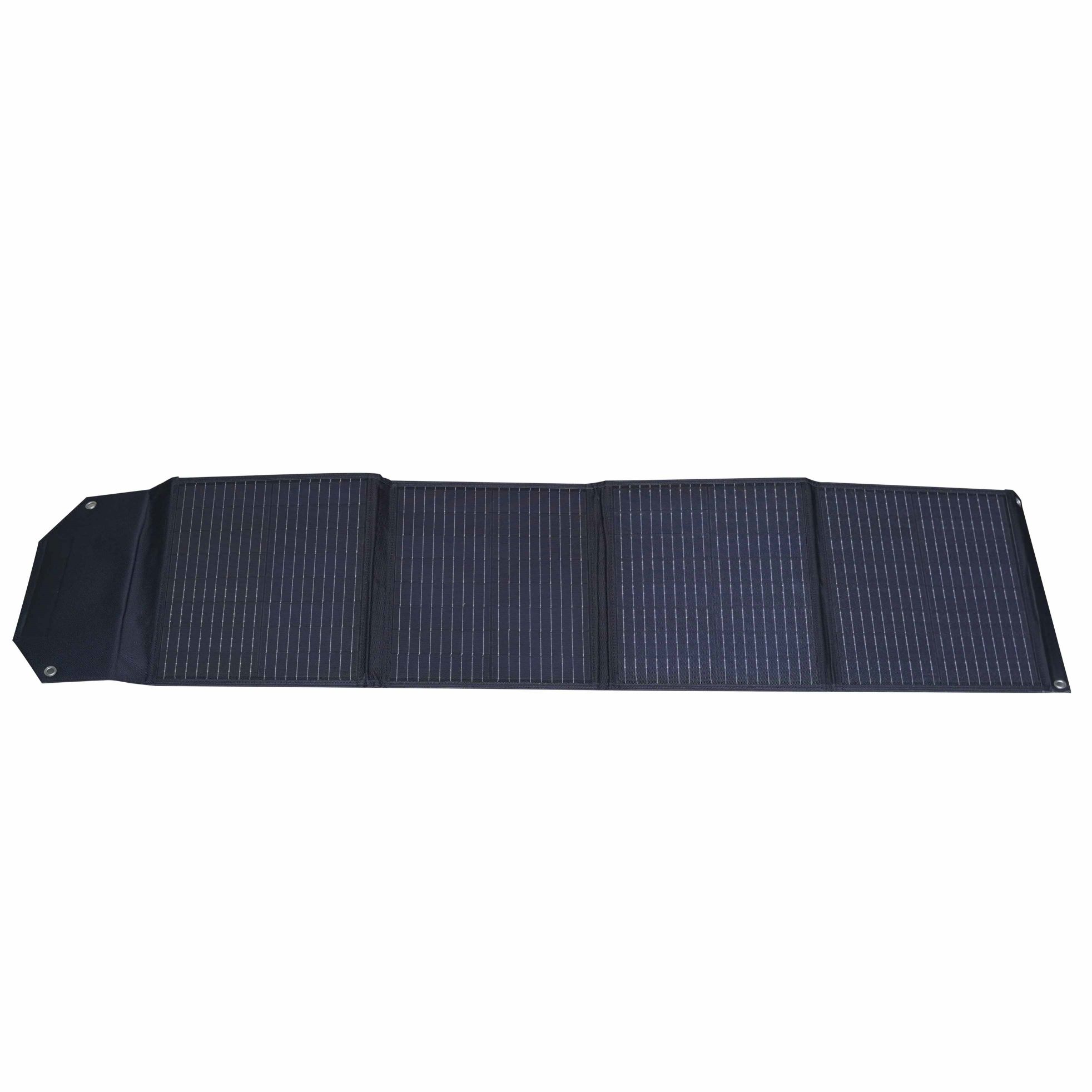 Estne 100w solaris panel satis ad castra?